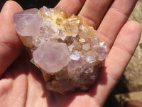 Natural Small Mixed Spirit Quartz Clusters  x 24 From Boekenhouthoek, South Africa - Toprock Gemstones and Minerals 