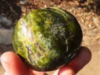 Polished Green Opal Galet / Palm Stones x 12 From Antsirabe, Madagascar