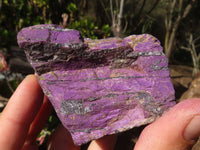 Natural Metallic Purpurite Cobbed Specimens  x 6 From Erongo, Namibia - Toprock Gemstones and Minerals 