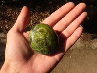 Polished Green Opal Galet / Palm Stones x 12 From Antsirabe, Madagascar