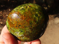 Polished Green Opal Galet / Palm Stones x 12 From Antsirabe, Madagascar