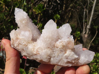 Natural Spirit Amethyst Quartz Clusters  x 3 From Boekenhouthoek, South Africa - Toprock Gemstones and Minerals 