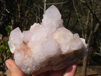 Natural Spirit Amethyst Quartz Clusters  x 3 From Boekenhouthoek, South Africa - Toprock Gemstones and Minerals 