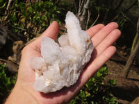 Natural Spirit Amethyst Quartz Clusters  x 3 From Boekenhouthoek, South Africa - Toprock Gemstones and Minerals 