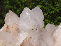 Natural Spirit Amethyst Quartz Clusters  x 3 From Boekenhouthoek, South Africa - Toprock Gemstones and Minerals 