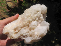 Natural Large Pineapple Candle Quartz Cluster  x 2 From Madagascar - TopRock