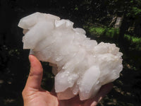 Natural Large Pineapple Candle Quartz Cluster  x 2 From Madagascar - TopRock