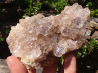 Natural Golden Limonite / Lemonite Quartz Clusters With Goethite Inclusions  x 12 From Zambia - Toprock Gemstones and Minerals 