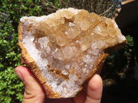 Natural Golden Limonite / Lemonite Quartz Clusters With Goethite Inclusions  x 12 From Zambia - Toprock Gemstones and Minerals 