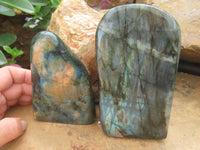 Polished Labradorite Standing Free Forms With Purple & Gold Flash  x 2 From Madagascar - Toprock Gemstones and Minerals 