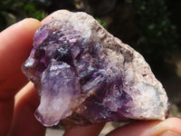 Natural Small Amethyst Geode Specimens  x 35 From Zululand, South Africa - TopRock