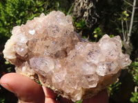 Natural Golden Limonite / Lemonite Quartz Clusters With Goethite Inclusions  x 12 From Zambia - Toprock Gemstones and Minerals 