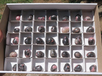 Polished Mini Rhodonite Eggs  x 35 From Madagascar - TopRock