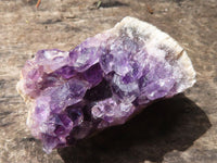 Natural Small Amethyst Geode Specimens  x 35 From Zululand, South Africa - TopRock