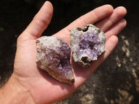 Natural Small Amethyst Geode Specimens  x 35 From Zululand, South Africa - TopRock