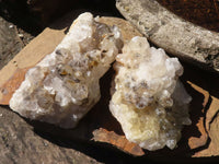 Natural Golden Limonite / Lemonite Quartz Clusters With Goethite Inclusions  x 12 From Zambia - Toprock Gemstones and Minerals 