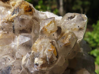 Natural Golden Limonite / Lemonite Quartz Clusters With Goethite Inclusions  x 12 From Zambia - Toprock Gemstones and Minerals 