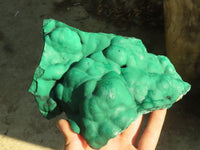 Natural Botryoidal Malachite Specimens  x 2 From Congo