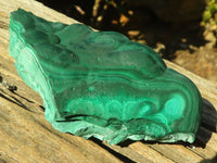 Natural Botryoidal Malachite Specimens  x 2 From Congo