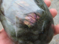 Polished Labradorite Standing Free Forms With Purple & Gold Flash  x 2 From Madagascar - Toprock Gemstones and Minerals 