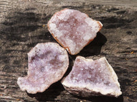 Natural Small Amethyst Geode Specimens  x 35 From Zululand, South Africa - TopRock