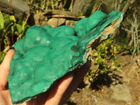 Natural Botryoidal Malachite Specimens  x 2 From Congo