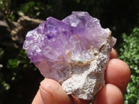 Natural Small Amethyst Geode Specimens  x 35 From Zululand, South Africa - TopRock