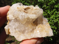 Natural Golden Limonite / Lemonite Quartz Clusters With Goethite Inclusions  x 12 From Zambia - Toprock Gemstones and Minerals 