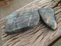 Polished Labradorite Standing Free Forms With Purple & Gold Flash  x 2 From Madagascar - Toprock Gemstones and Minerals 