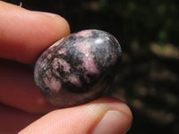 Polished Mini Rhodonite Eggs  x 35 From Madagascar - TopRock