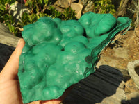 Natural Botryoidal Malachite Specimens  x 2 From Congo