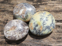 Polished Dendritic Opal Palm Stones  x 6 From Madagascar - TopRock