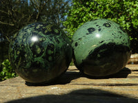 Polished Stromatolite / Kambamba Jasper Spheres  x 2 From Madagascar - Toprock Gemstones and Minerals 