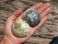 Polished Dendritic Opal Palm Stones  x 6 From Madagascar - TopRock