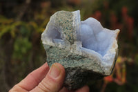 Natural Blue Lace Agate Geode Specimens  x 5 From Nsanje, Malawi - TopRock