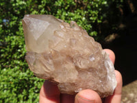 Natural Smokey White Phantom Quartz Clusters  x 6 From Luena, Congo - Toprock Gemstones and Minerals 