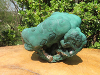 Natural Botryoidal Malachite Ball Formation x 1 From Kolwezi, Congo - TopRock