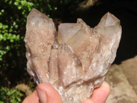 Natural Smokey White Phantom Quartz Clusters  x 6 From Luena, Congo - Toprock Gemstones and Minerals 