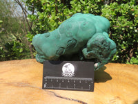 Natural Botryoidal Malachite Ball Formation x 1 From Kolwezi, Congo - TopRock