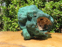 Natural Botryoidal Malachite Ball Formation x 1 From Kolwezi, Congo - TopRock