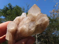 Natural Smokey White Phantom Quartz Clusters  x 6 From Luena, Congo - Toprock Gemstones and Minerals 