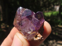 Natural Smokey Amethyst Window Quartz Crystals  x 35 From Ambatondrazaka, Madagascar - TopRock