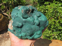 Natural Botryoidal Malachite Ball Formation x 1 From Kolwezi, Congo - TopRock