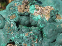 Natural Botryoidal Malachite Ball Formation x 1 From Kolwezi, Congo - TopRock