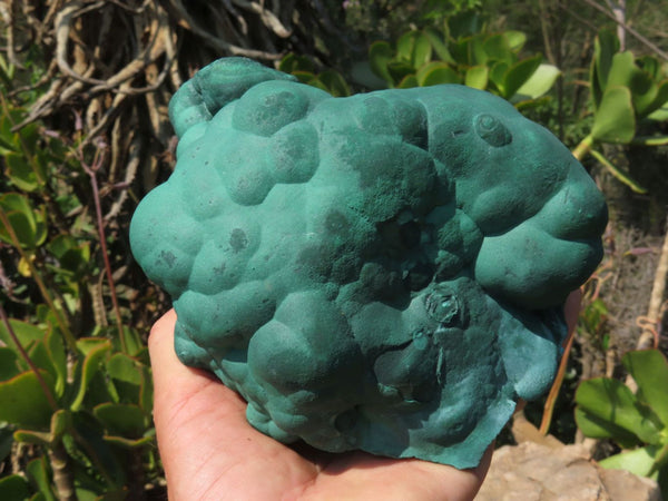 Natural Botryoidal Malachite Ball Formation x 1 From Kolwezi, Congo - TopRock