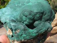 Natural Botryoidal Malachite Ball Formation x 1 From Kolwezi, Congo - TopRock