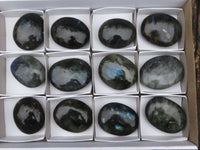 Polished Labradorite Palm Stones  x 12 From Tulear, Madagascar - TopRock