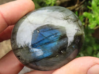 Polished Labradorite Palm Stones  x 12 From Tulear, Madagascar - TopRock