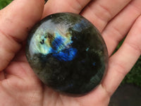 Polished Labradorite Palm Stones  x 12 From Tulear, Madagascar - TopRock