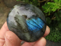 Polished Labradorite Palm Stones  x 12 From Tulear, Madagascar - TopRock